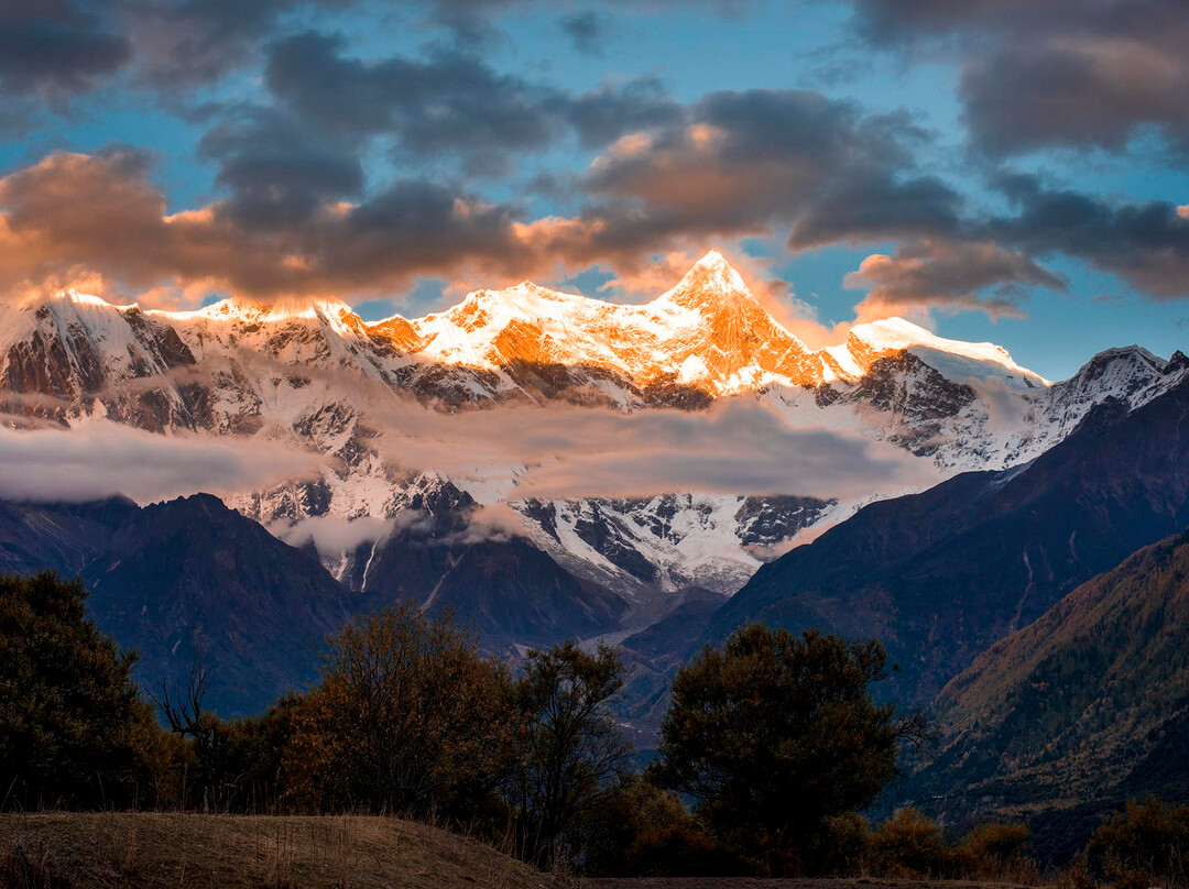 The Moose Is Inn主图