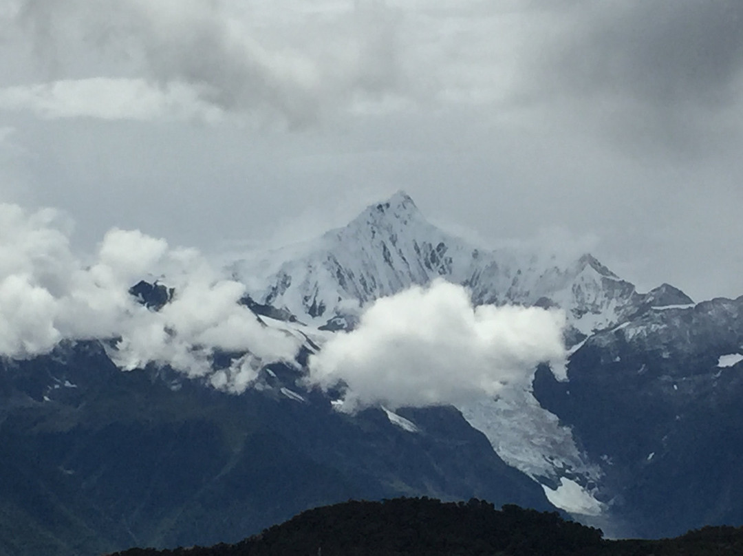 The Moose Is Inn主图