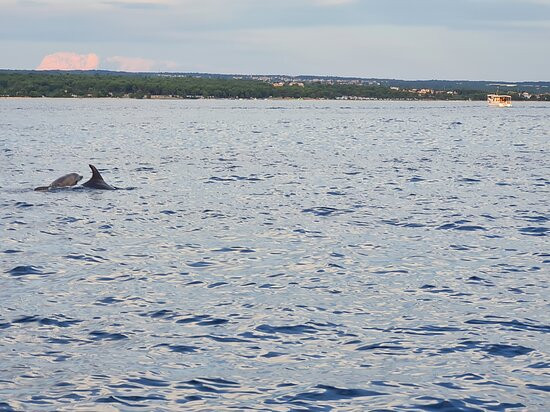 Private Boat Excursions Pula-普拉必去景点