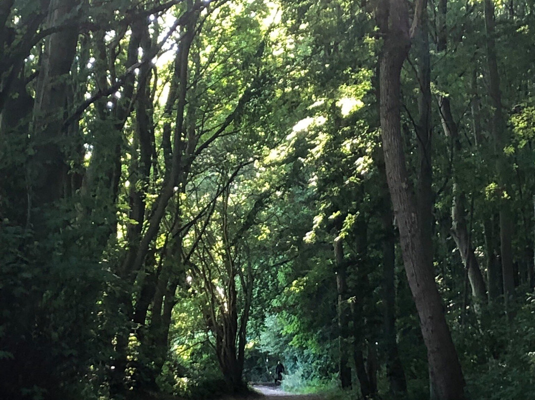 Campingplatz Falckenstein