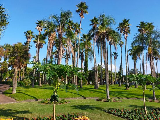 Miyakoh Botanic Garden Aoshima-宫崎市必去景点