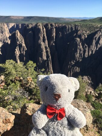 Super 8 by Wyndham Montrose主图