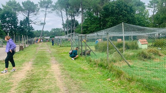 Animalia Parc-Naujac-sur-Mer必去景点