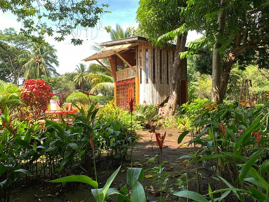 Hotel Flying Crocodile主图