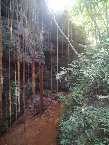 Jalabob Turismo-Palmas必去景点