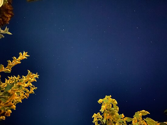 Sinjirite Complex主图