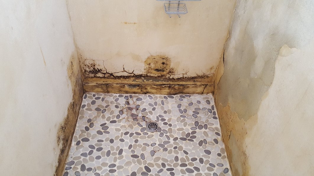 The Welgemoed Guesthouse主图