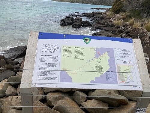 Southern Right Whale Sculpture