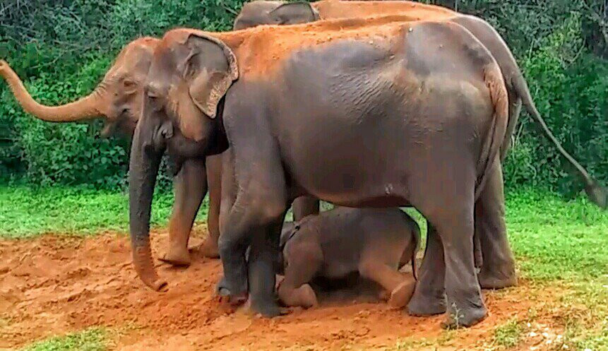 The Rock Hotel主图