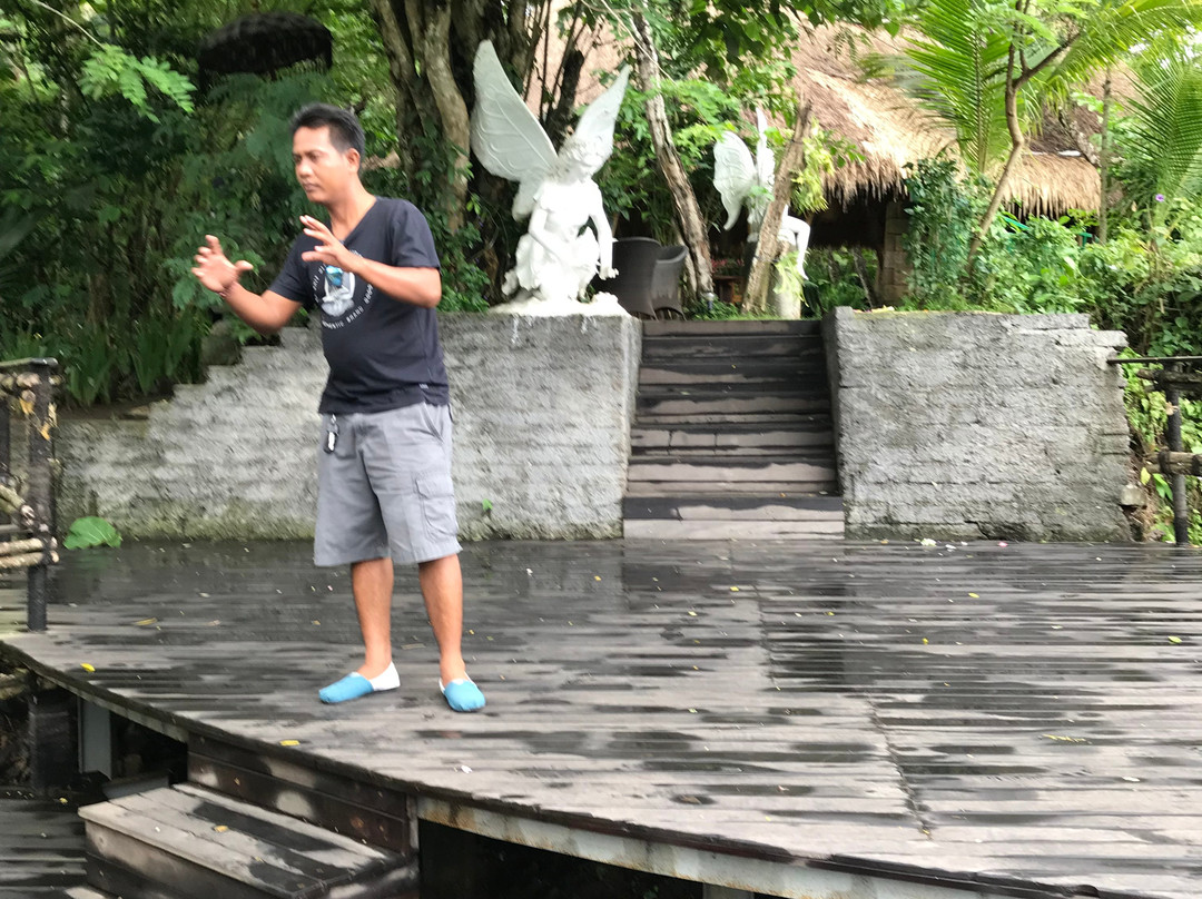 Rate Bali - Transport and Tour Service-登巴萨必去景点