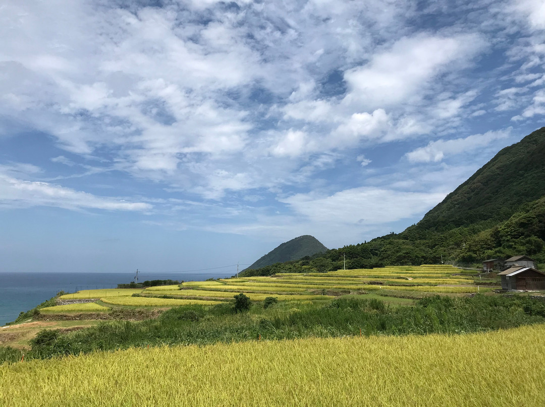 京丹后市旅游攻略图片