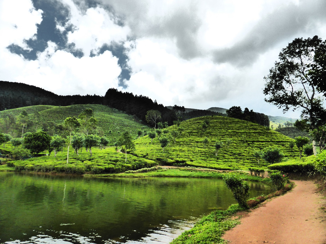 Elkaduwa旅游攻略图片