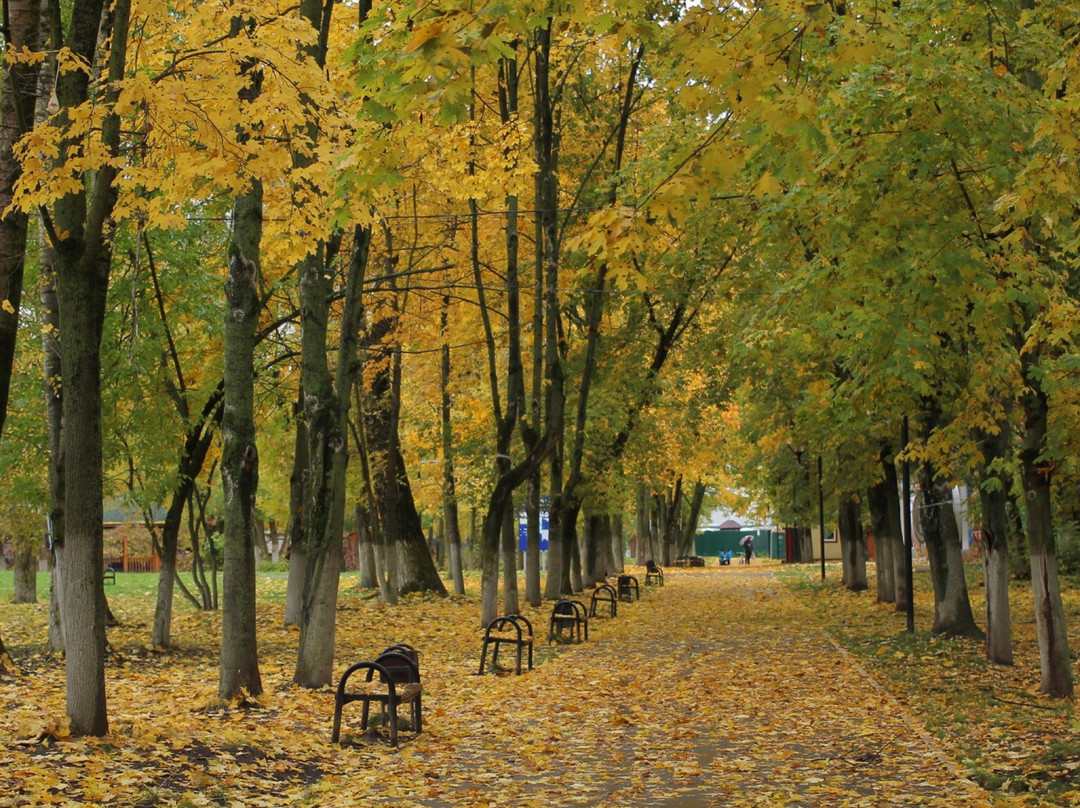 Shhyolkovo City Park景点图片