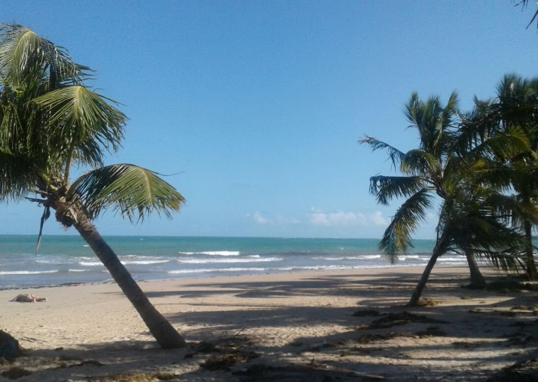 Ipioca旅游攻略图片