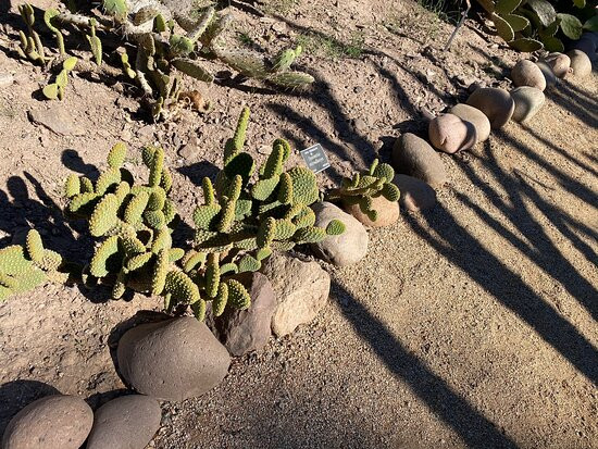 Parque Sinaloa-Los Mochis必去景点