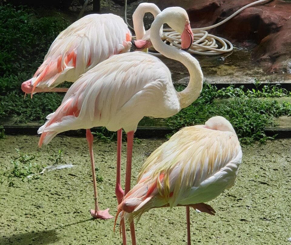 Taman Tumbina-宾图卢必去景点