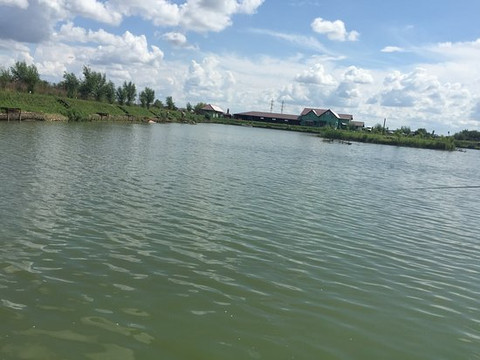 Complex Turistic Valcroft-Sacalaz必去景点