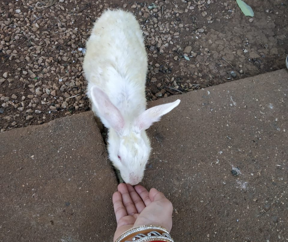 Manas Resort With Petting Zoo主图