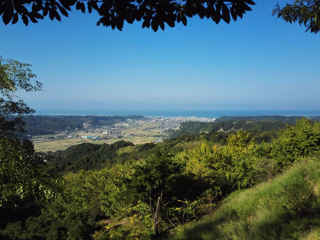 Tarumizu Sembon Ginkgo Garden
