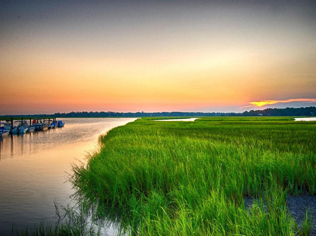 Fripp Island旅游攻略图片