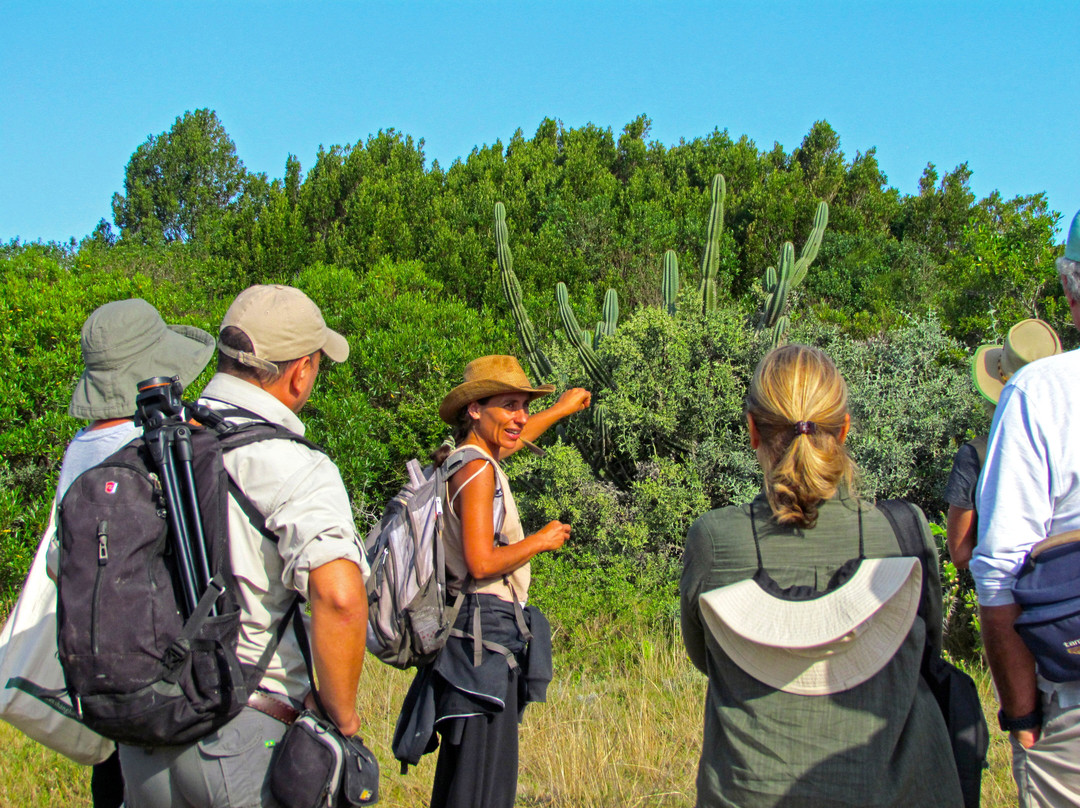 Laguna Garzón Uruguay