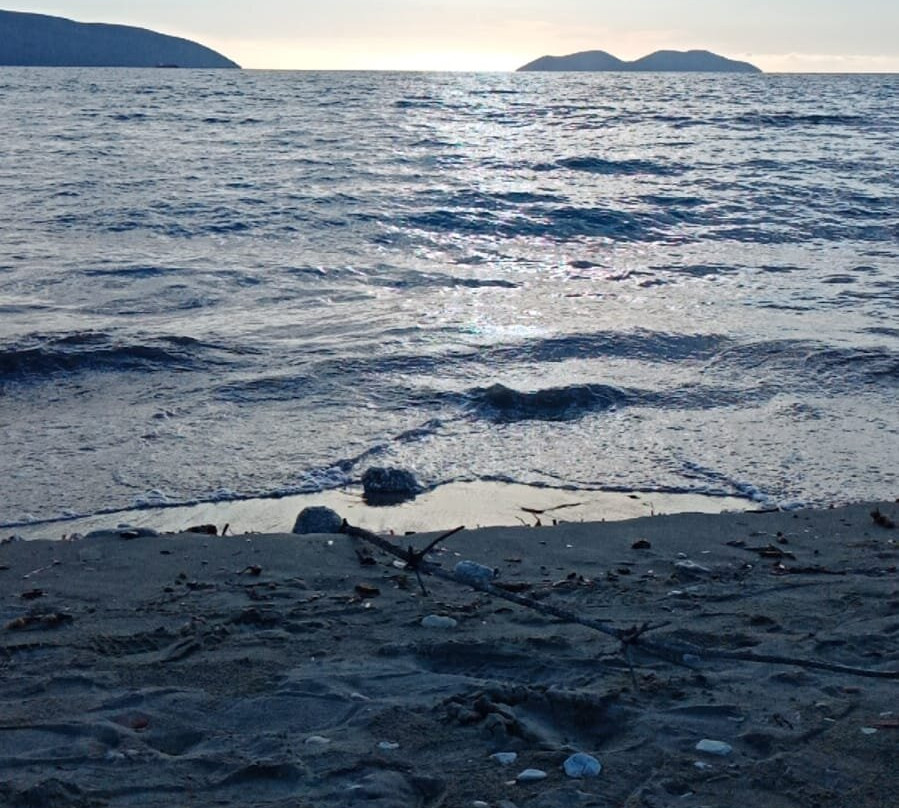 Zvernec旅游攻略图片