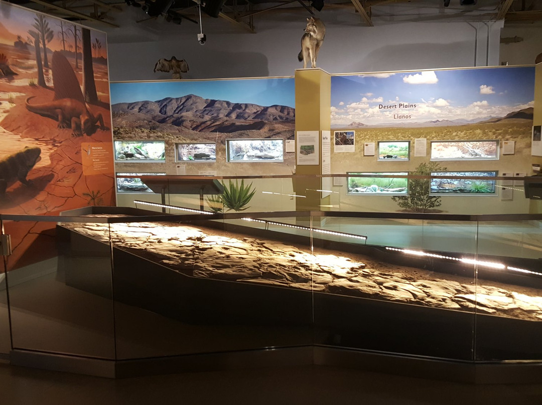 拉斯克鲁塞斯旅游景点-Museum of Nature & Science