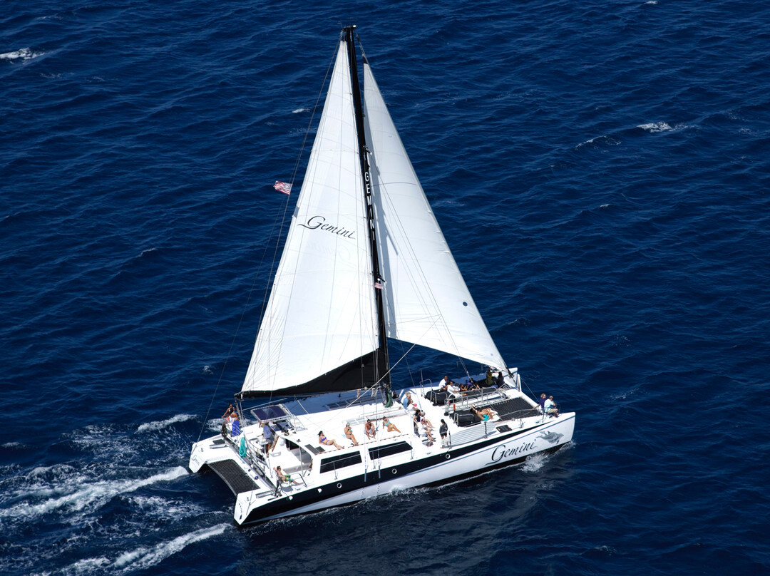 Gemini Sailing Charters景点图片