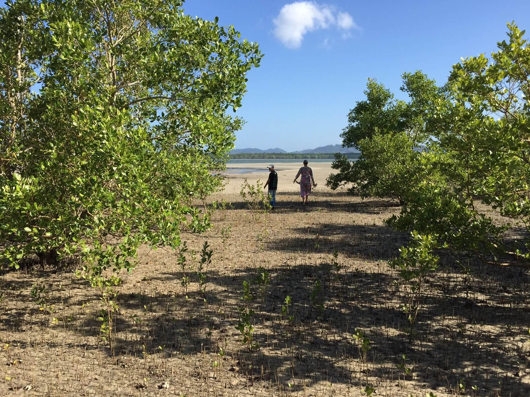 Shaan and Jeevan's Eco-Farm-兰塔岛必去景点