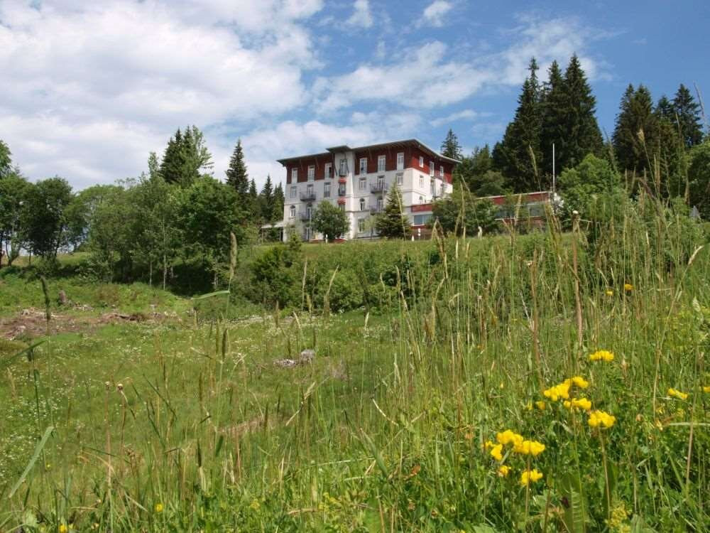 托特瑙酒店住宿-Waldhotel Am Notschreipass