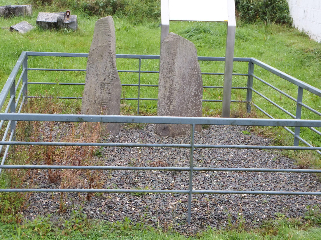 Chute Hall Ogham Stones