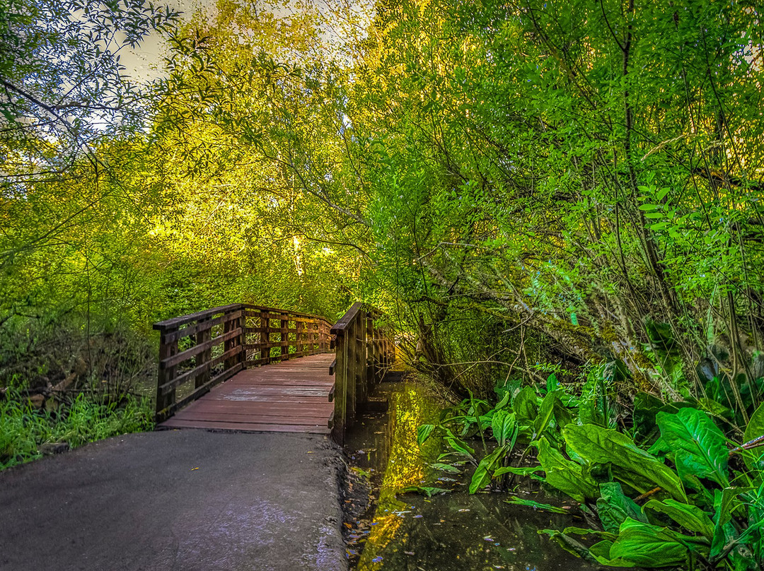 Scriber Lake Park-林伍德必去景点