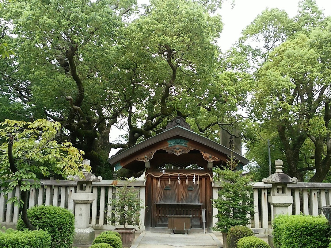 Shonanko Grave
