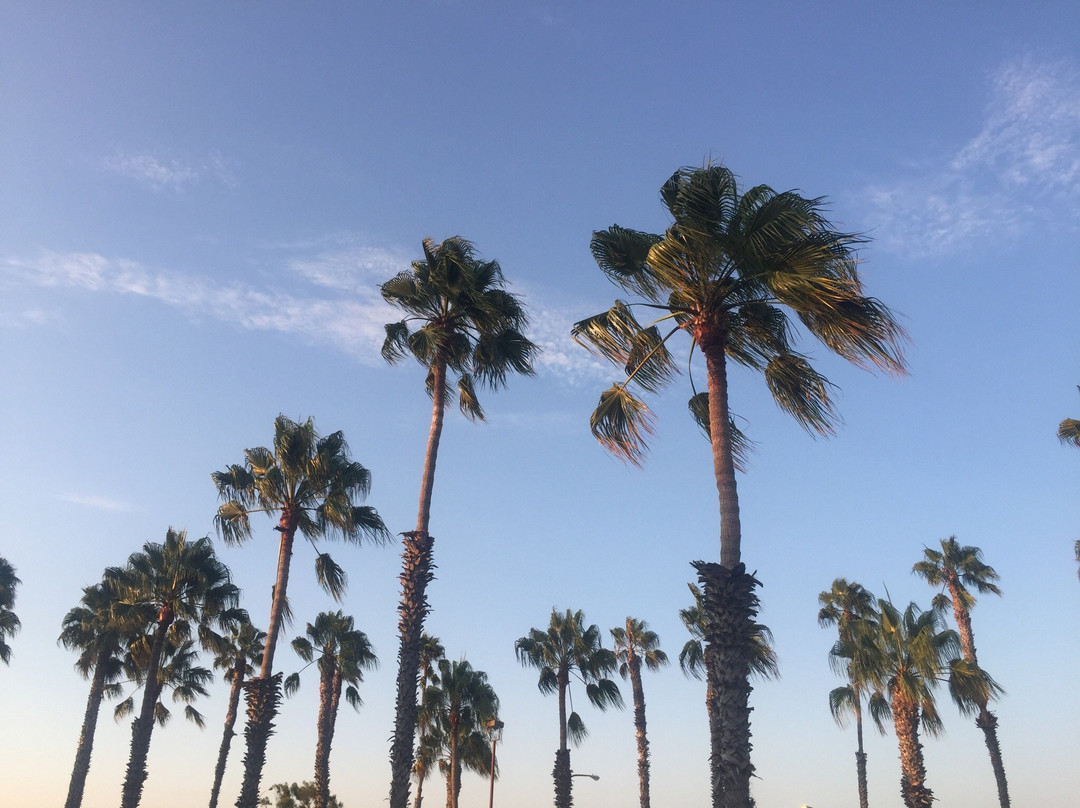Galley At the Marina