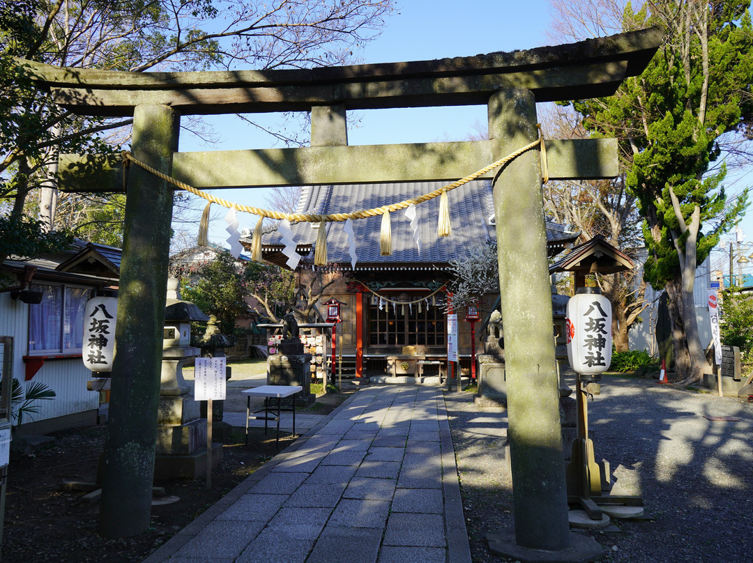 Yasaka Shrine景点图片