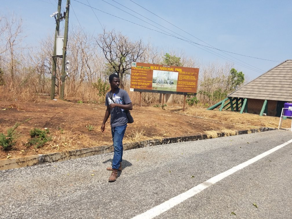 Mole National Park-Wa必去景点