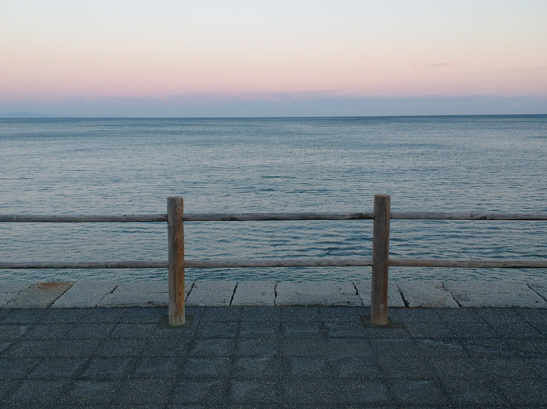 Sagara Beach-牧之原市必去景点