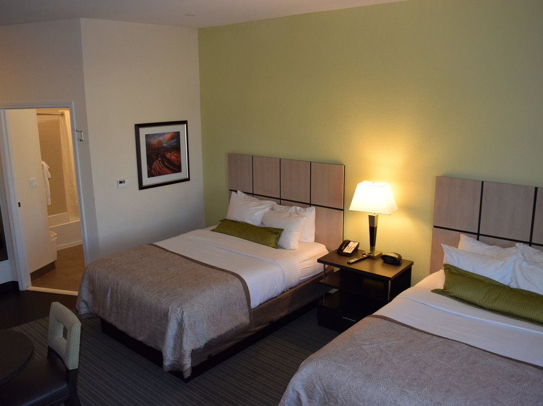 莫纳汉斯坎德伍德套房酒店主图