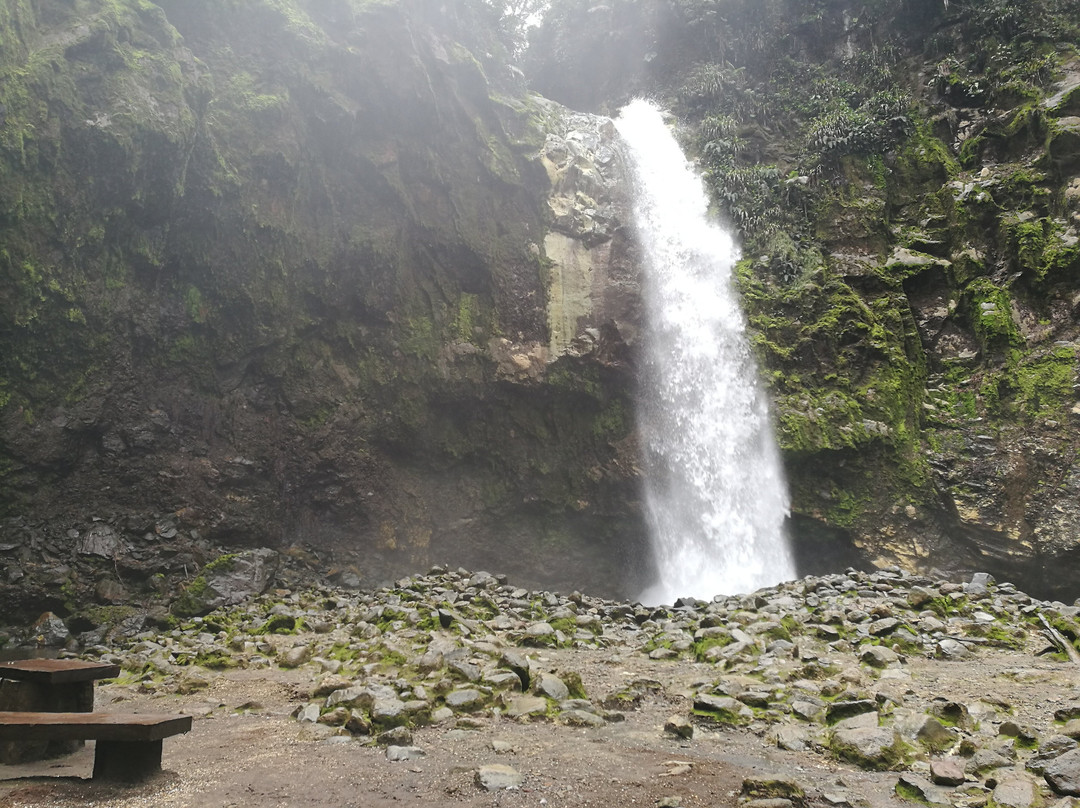 Catarata Río Agrio景点图片