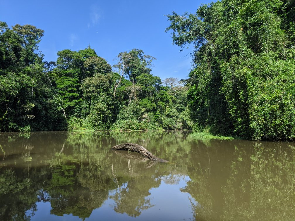 Tortuguero Adventures GuestHouse主图