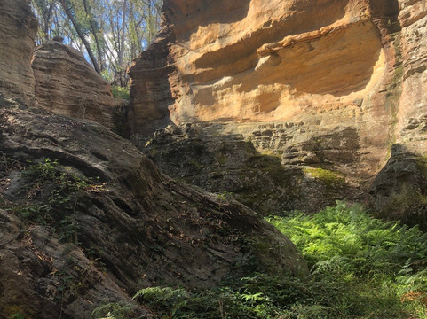 Adrenalin Off Road Tours-悉尼必去景点