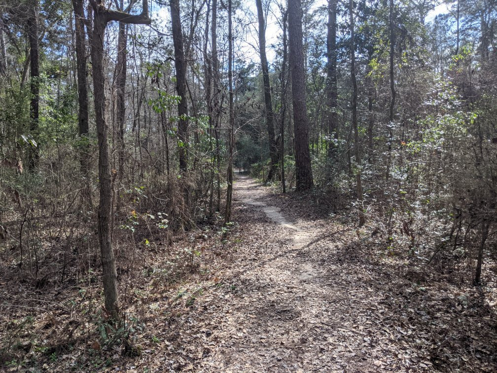 Colleton State Park景点图片