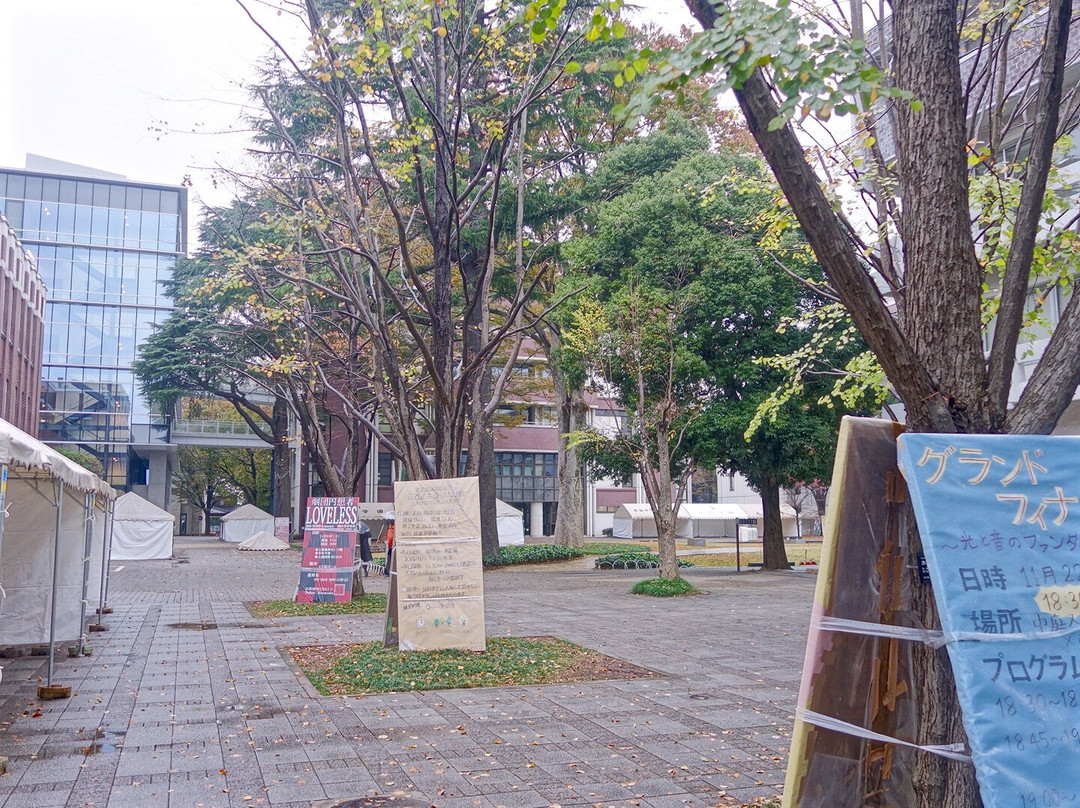 Seikei University-武藏野市必去景点