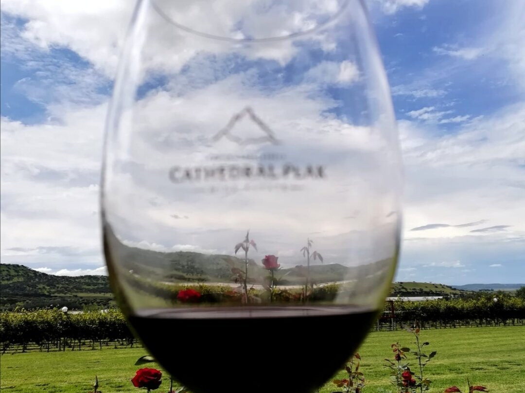 Cathedral Peak Wine Estate-温特顿必去景点
