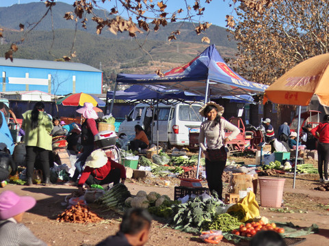 Zero Plastic Vegan Tours-昆明市必去景点