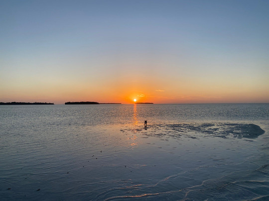 Key West Boat Trips-基韦斯特必去景点