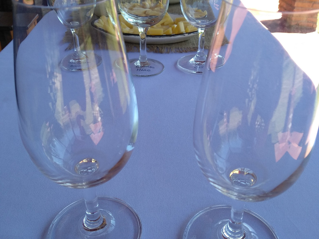 Cordoba Wine Travel景点图片