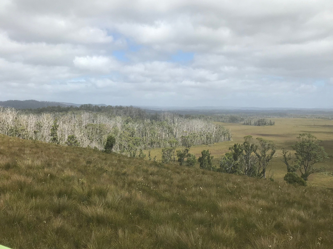 Dempster Plains Lookout
