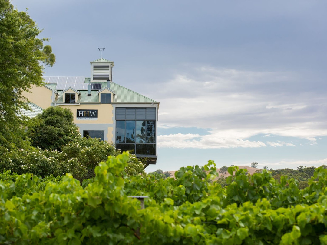 Hahndorf Hill Winery景点图片
