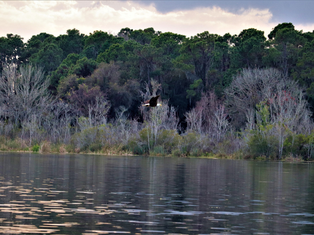 Justin's Jungle Airboat Rides-Umatilla必去景点